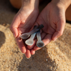 New Price! Shell Spoons