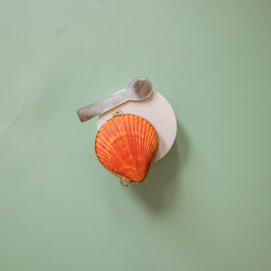 New Price! Shell Spoons