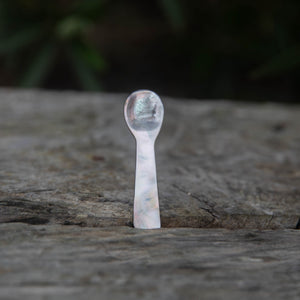 New Price! Shell Spoons
